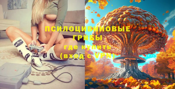 сатива Медногорск