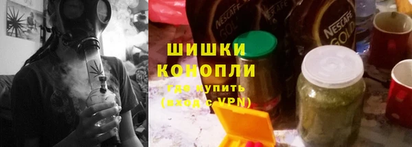 сатива Медногорск