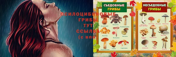 сатива Медногорск