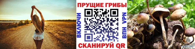 Псилоцибиновые грибы Cubensis  Купить  Краснокаменск 