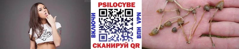Галлюциногенные грибы Psilocybine cubensis Краснокаменск